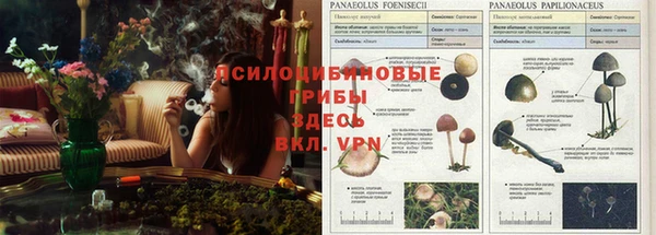трава Нефтекумск