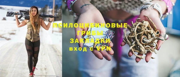 соль ск Абдулино