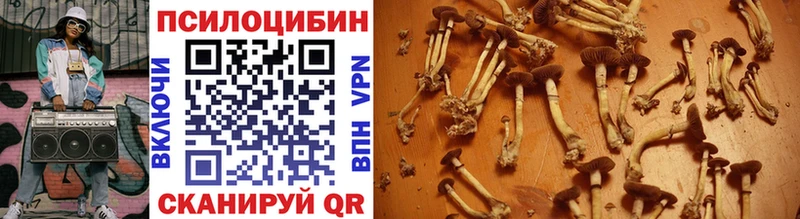 купить наркотики сайты  Краснодар  Псилоцибиновые грибы MAGIC MUSHROOMS 